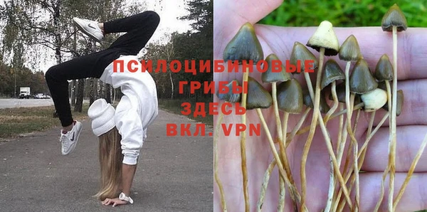 альфа пвп Касимов