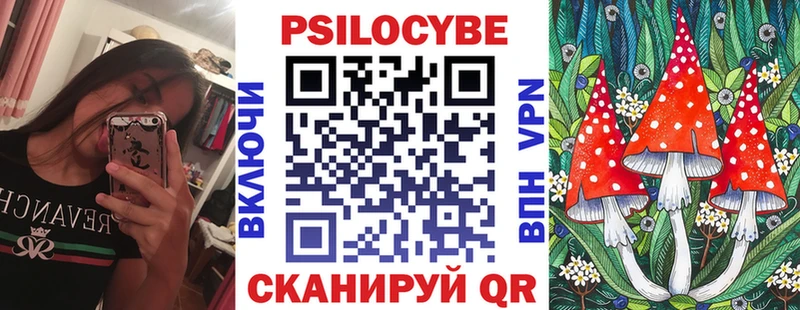 Купить закладки  Томск  Псилоцибиновые грибы GOLDEN TEACHER 